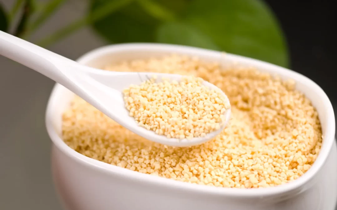 Lecitina de soya